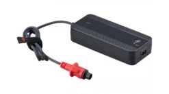 Specialized Ladegerät SL 48V EU