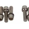 Ritchey WCS 4Axis Vorbauschrauben Titan Silver