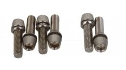 Ritchey WCS 4Axis Vorbauschrauben Titan Silver