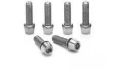 Ritchey WCS C220/Toyon Vorbauschrauben Titan Silver